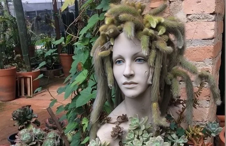 Types of Plants to Use as Hair in a Planter