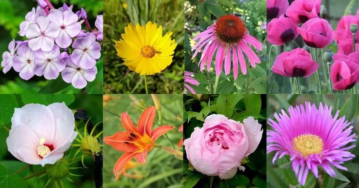Why Knowing 100 Types of Flowers Matters