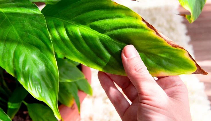 5. Temperature and Humidity Management