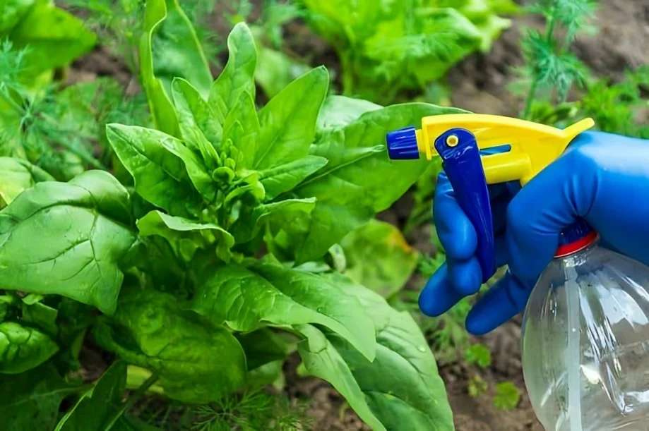How to Get Rid of Moles from Your Garden