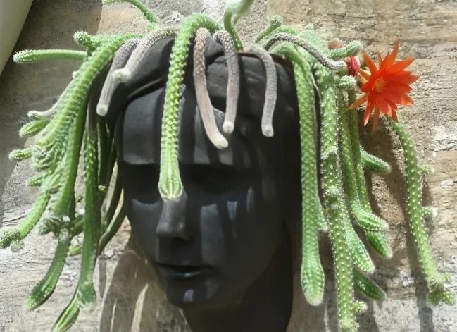 Non-Plant Materials to Use as Hair in a Planter