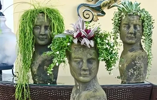 What to Use as Hair for Your Head Planter: Plants