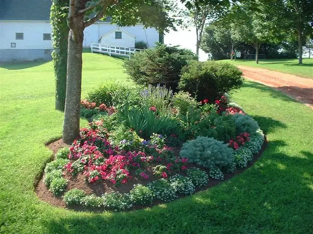 Design Tips for the Perfect Front Yard Landscape