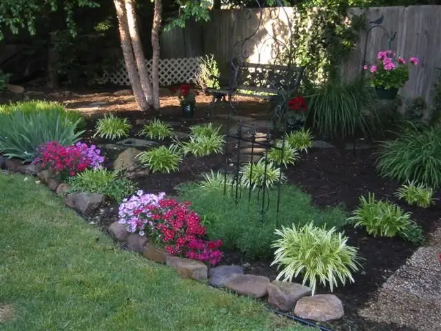 Top Plants for Front of House Appeal