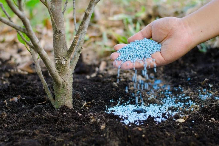 Benefits of Using Slow Release Nitrogen Fertilizer