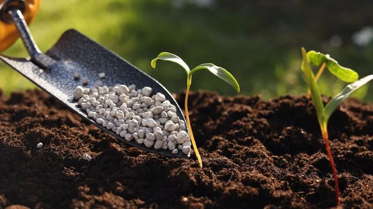 What Is Fertilizer?