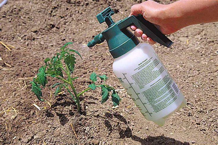 How Does Slow Release Nitrogen Fertilizer Work?
