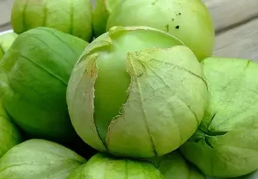 Common Fertilization Mistakes to Avoid