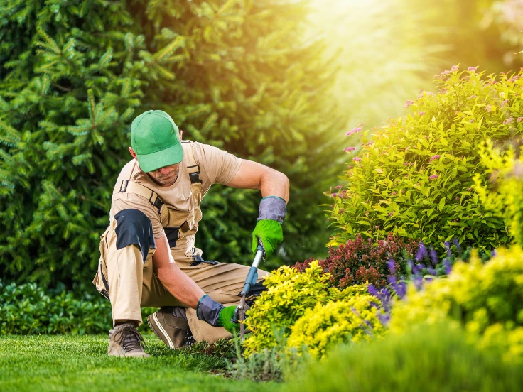 A man wearing a green hat and overalls trims plants in a vibrant garden, enjoying a sunny day outdoors.