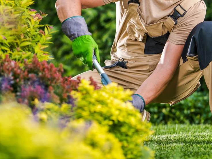 A man in overalls trims the grass with a lawn mower in a sunny garden.