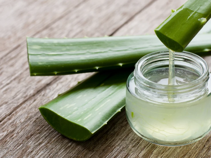 Aloe vera juice in a glass, highlighting its benefits for skin hydration and wellness.