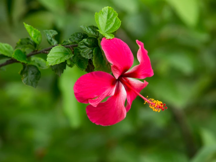 A cheerful pink flower is perched on a branch, adding a pop of color to the scene.
