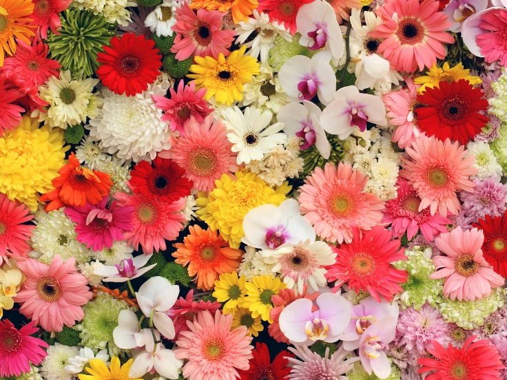 A vibrant arrangement of various flowers in a large bouquet, showcasing a colorful mix of blooms.