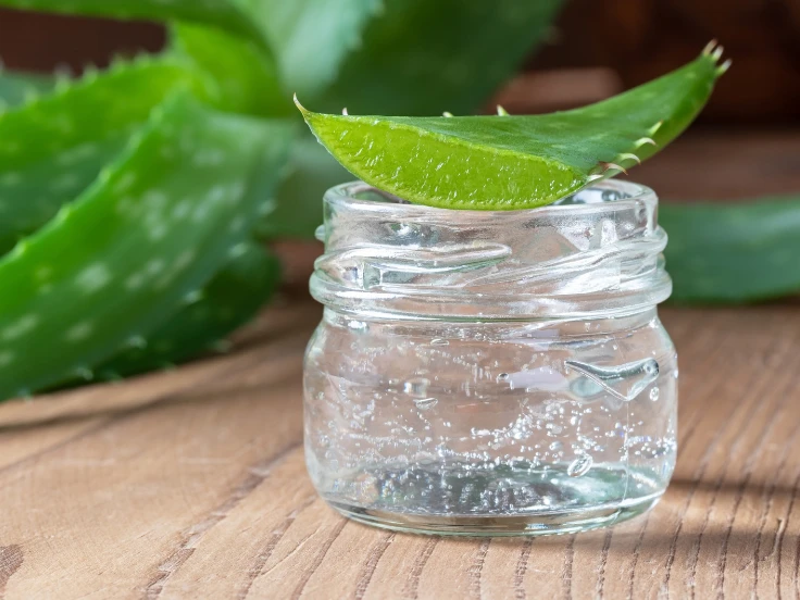 A clear jar filled with fresh aloe vera leaves, showcasing their vibrant green color and succulent texture.