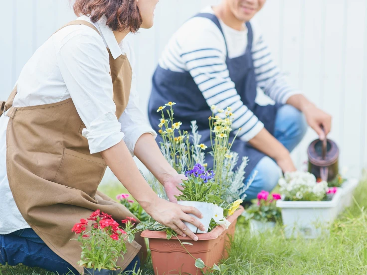 Top 10 Easiest Flowers to Grow