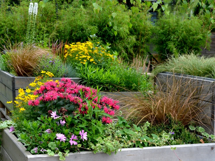 A vibrant garden filled with a variety of colorful flowers blooming in a sunny setting.