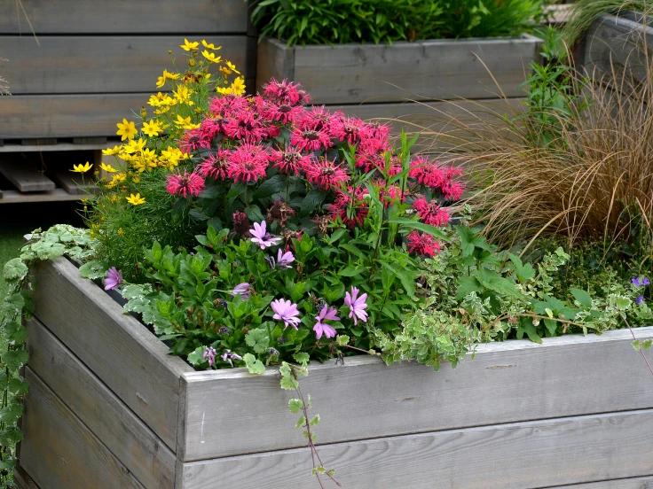 A wooden planter filled with colorful flowers, showcasing a vibrant and natural garden display.