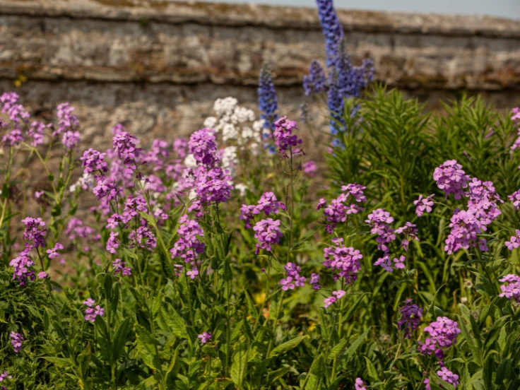 A wooden bench surrounded by colorful flowers in front of a textured wall.