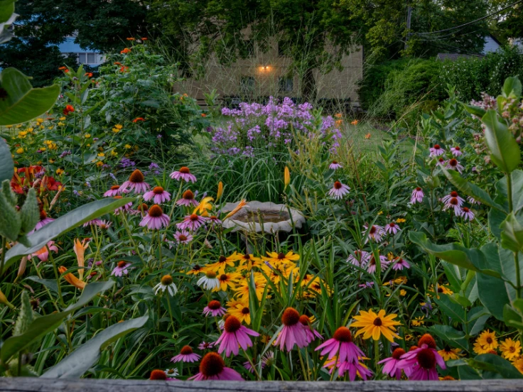 A vibrant garden filled with a variety of colorful flowers and lush green plants.