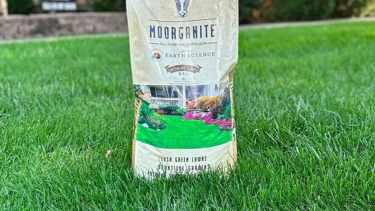 Best Pet Safe Lawn Fertilizer Brands