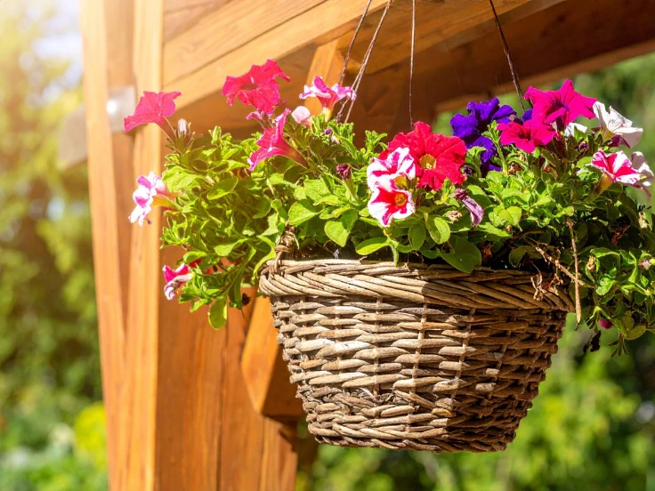 A wicker basket filled with colorful flowers, suspended from a rustic wooden structure.