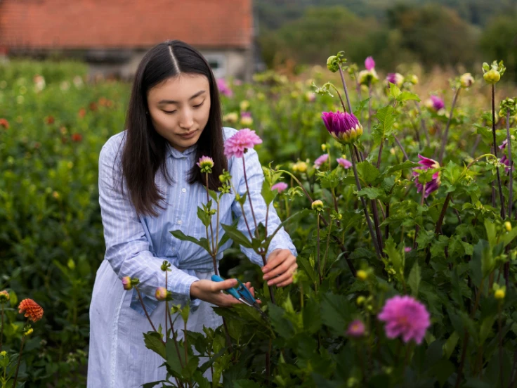 A woman joyfully picks colorful flowers in a sunny field, surrounded by lush greenery.
