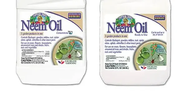 Neem Oil vs Copper Fungicide: The Verdict