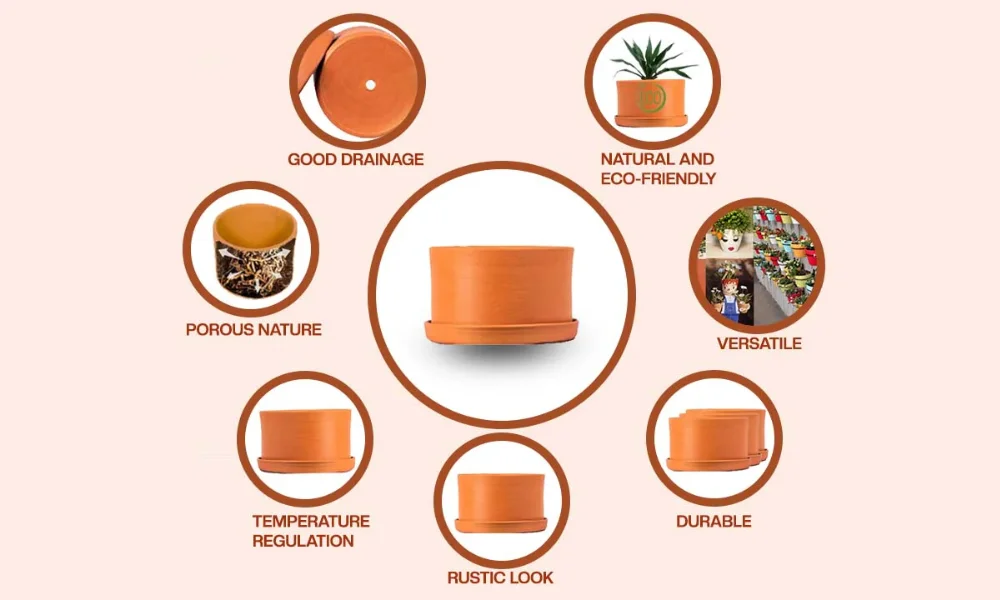 Benefits of Painted Terracotta pots