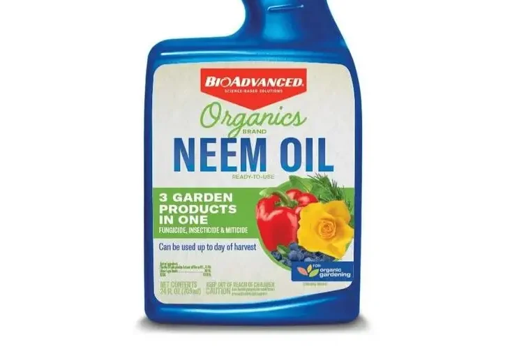 When to Use Neem Oil