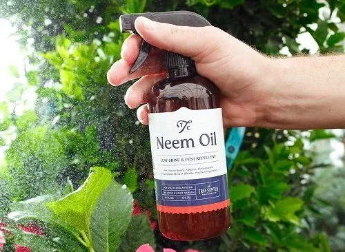 Combining Neem Oil with Other Flea Control Methods