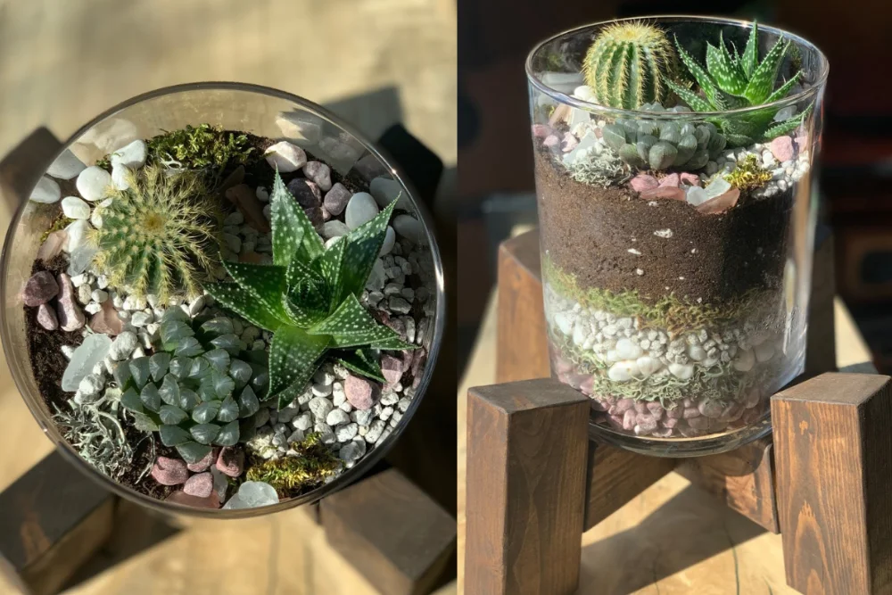 Terrarium layer structure close-up