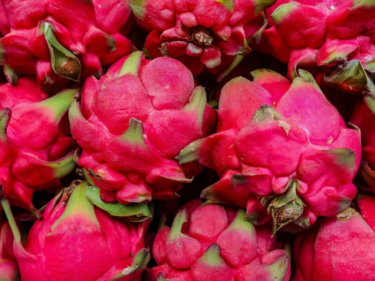 A colorful stack of red dragon fruit, featuring its distinctive pink skin and green scales.