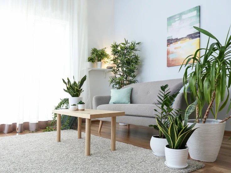 A bright living room with a comfortable couch, a stylish table, and vibrant plants adding a touch of nature.