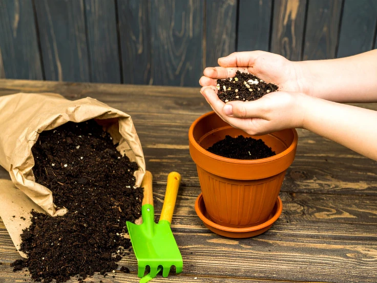 A person stands with a bag of soil and a gardening tool, prepared for a day of gardening.
