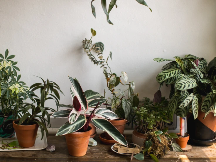 Visual guide illustrating steps to choose the ideal cloud hosting provider, highlighting important features and options.