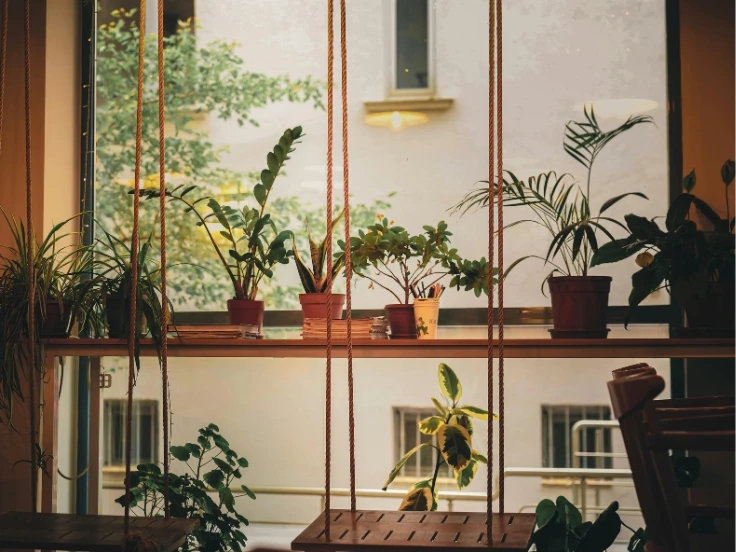 A charming window with vibrant plants and a swing chair, perfect for enjoying nature from indoors.