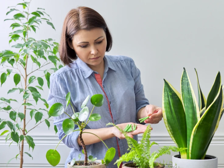 A woman gazes thoughtfully at various plants in a pot, appreciating their vibrant greenery.