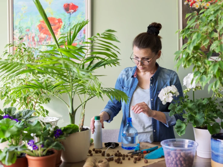 A woman is watering green plants in a bright, cozy room filled with natural light.