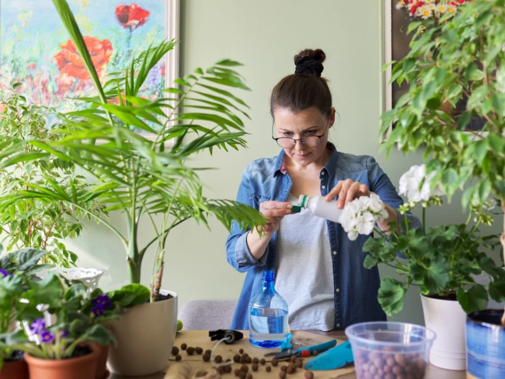 A woman tends to her indoor plants, watering them in a sunny, inviting room.