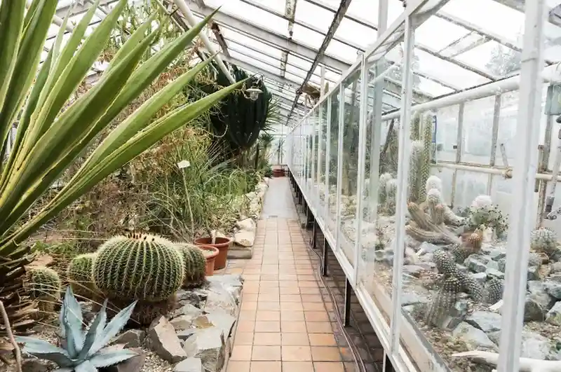 “Open and closed DIY terrariums with plants in glass.”