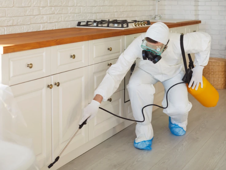 A man wearing a white protective suit is spraying disinfectant in a kitchen to maintain cleanliness and safety.
