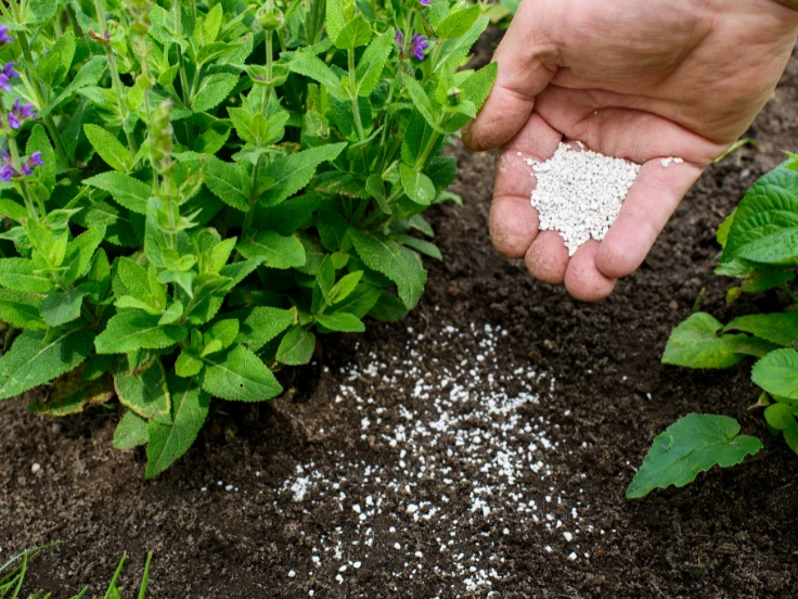 A hand displays a small quantity of white powder, emphasizing its fine texture and the person's grip.