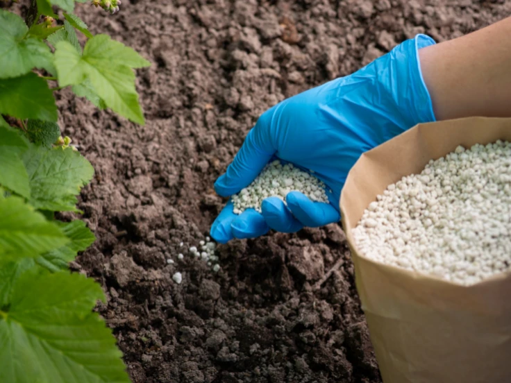 A person in blue gloves is grasping a bag of soil, preparing for gardening or planting tasks.