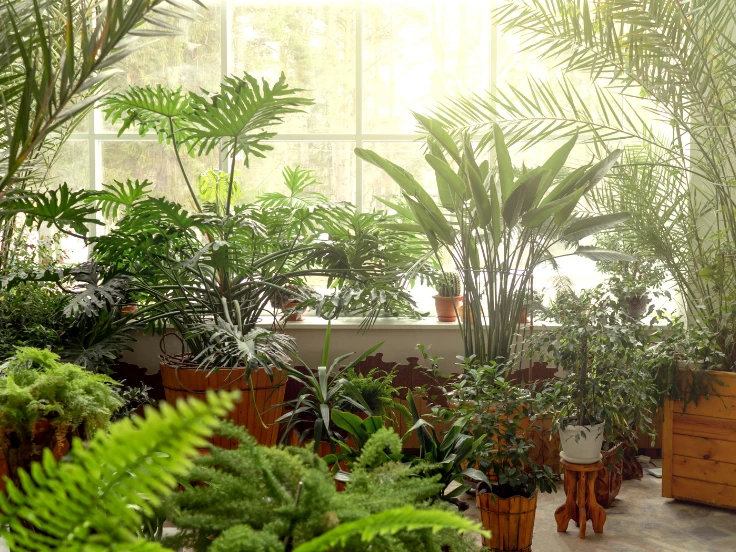 A room brimming with lush plants and a large window, inviting sunlight and a sense of tranquility.