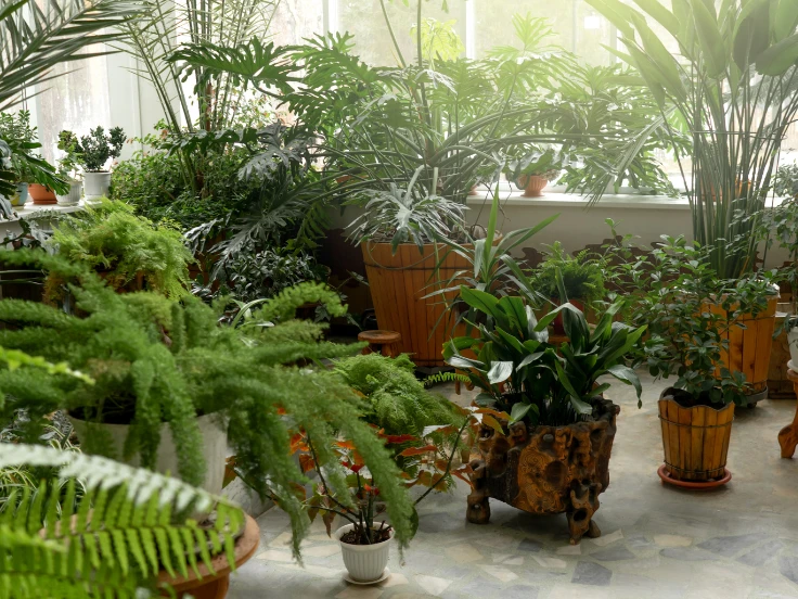 A spacious room filled with various potted plants, creating a vibrant and lively atmosphere.