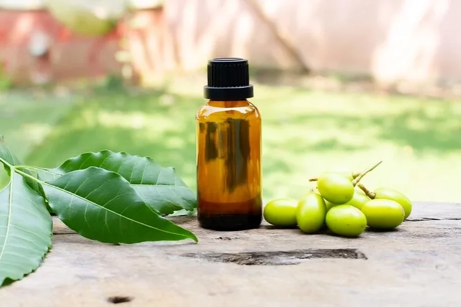 Neem oil vs. bed bug eggs: what most people miss