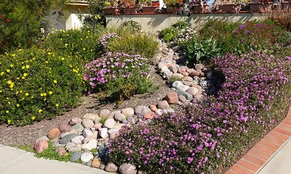 Low-Maintenance Picks for Small Front Yard Plants