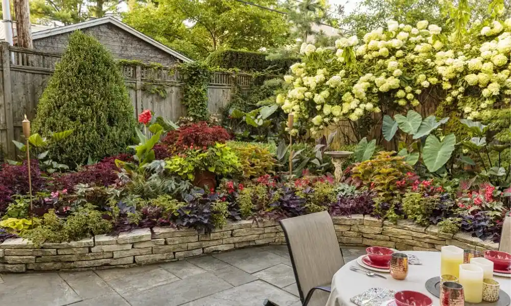 Understanding Shade in Your Garden