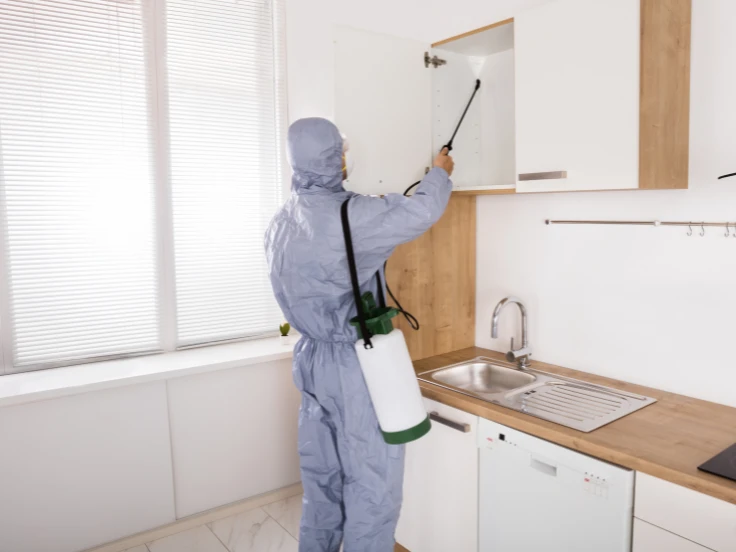 A man in green overalls sprays plants with a sprayer, tending to his garden with care and attention.