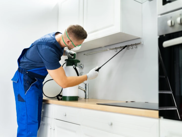 A man in overalls applies pest control spray in a kitchen, focusing on pest prevention.